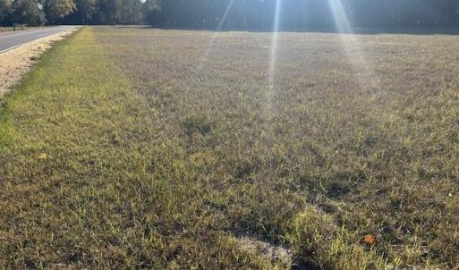 Photo #6 of Baxley Farm, Kershaw, SC