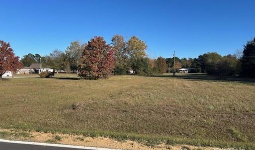 Photo #3 of Baxley Farm, Kershaw, SC