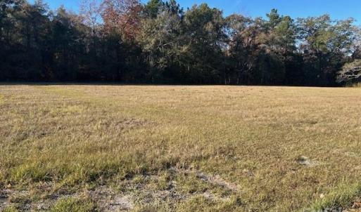 Photo #6 of Baxley Farm, Kershaw, SC
