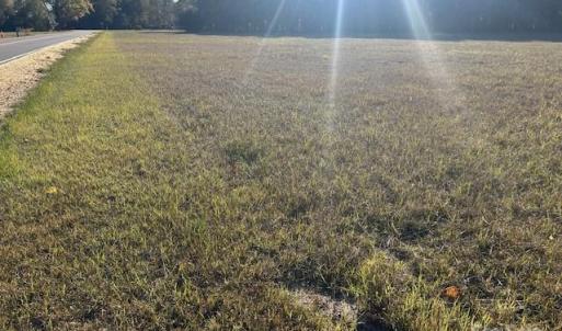 Photo #4 of Baxley Farm, Kershaw, SC
