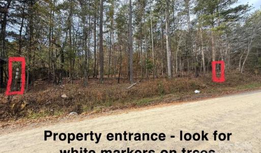 Photo #6 of Old Seine, Smyrna, SC