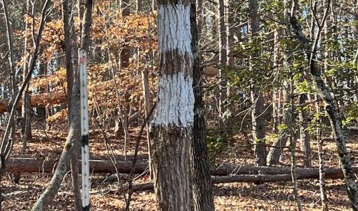 Photo #8 of Old Seine, Smyrna, SC