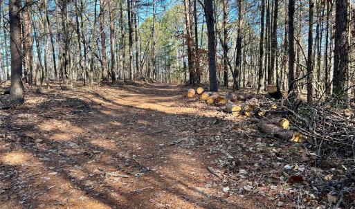 Photo #11 of Old Seine, Smyrna, SC