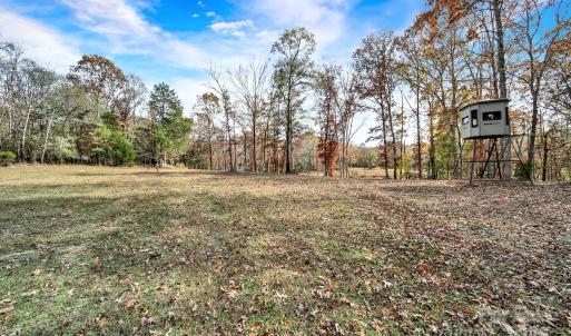 Photo #40 of 2399 Gold Mine, Kershaw, SC