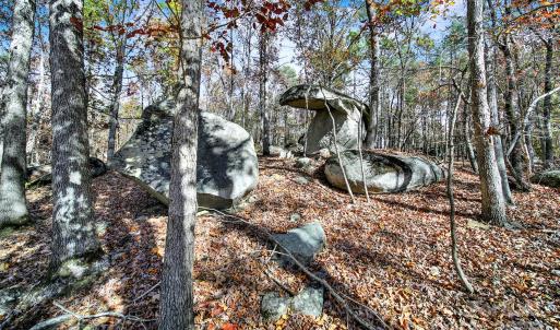Photo #42 of 2399 Gold Mine, Kershaw, SC