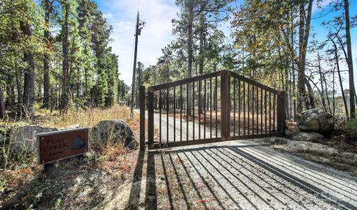 Photo #38 of 2399 Gold Mine, Kershaw, SC