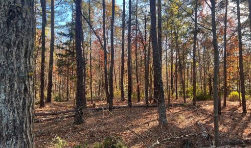 Photo #3 of TBD Steele, Waxhaw, NC