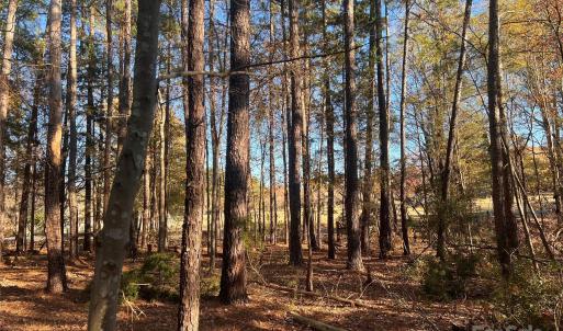 Photo #6 of TBD Steele, Waxhaw, NC