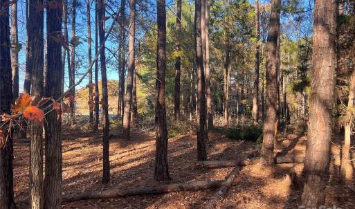 Photo #4 of TBD Steele, Waxhaw, NC