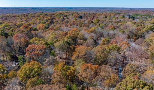 Photo #41 of Nablus, Waxhaw, NC