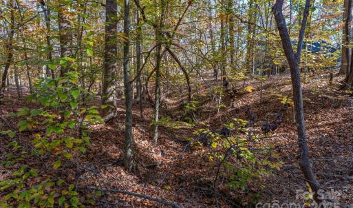 Photo #27 of Nablus, Waxhaw, NC