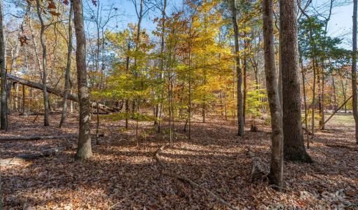 Photo #16 of Nablus, Waxhaw, NC