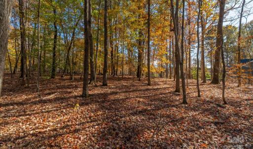 Photo #20 of Nablus, Waxhaw, NC