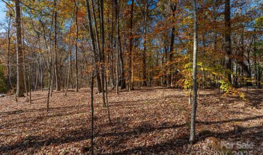 Photo #31 of Nablus, Waxhaw, NC