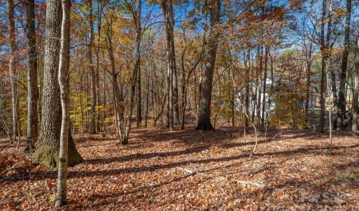 Photo #18 of Nablus, Waxhaw, NC