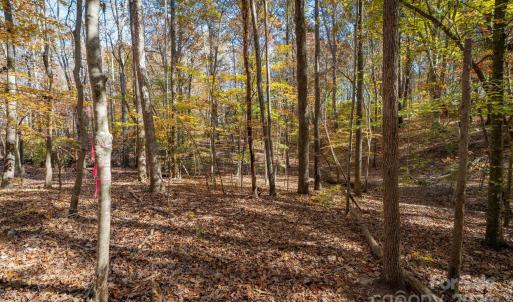 Photo #25 of Nablus, Waxhaw, NC