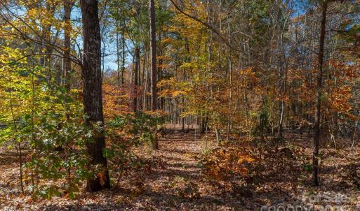 Photo #13 of Nablus, Waxhaw, NC