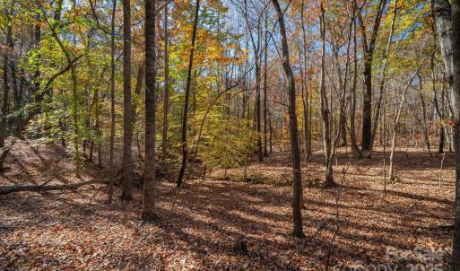 Photo #22 of Nablus, Waxhaw, NC