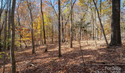 Photo #24 of Nablus, Waxhaw, NC