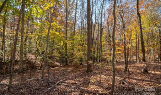 Photo #23 of Nablus, Waxhaw, NC