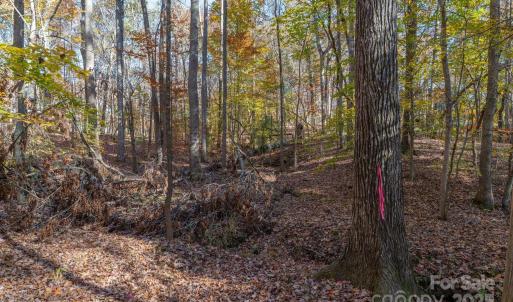 Photo #26 of Nablus, Waxhaw, NC