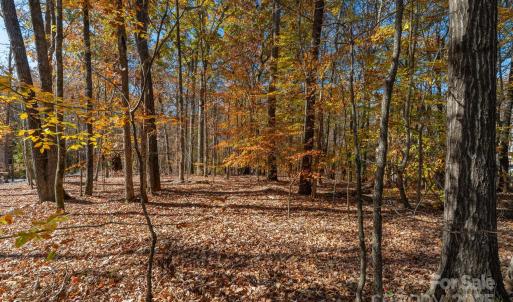 Photo #17 of Nablus, Waxhaw, NC