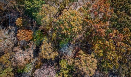 Photo #36 of Nablus, Waxhaw, NC