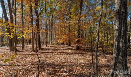 Photo #17 of Nablus, Waxhaw, NC