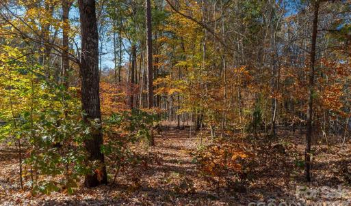 Photo #13 of Nablus, Waxhaw, NC