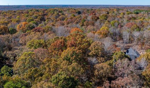 Photo #38 of Nablus, Waxhaw, NC