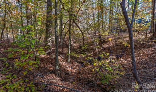 Photo #27 of Nablus, Waxhaw, NC