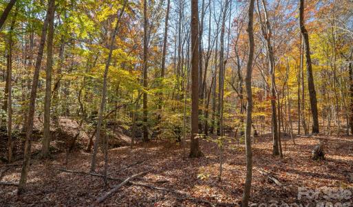 Photo #23 of Nablus, Waxhaw, NC