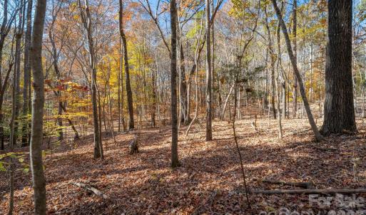 Photo #24 of Nablus, Waxhaw, NC