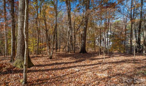 Photo #18 of Nablus, Waxhaw, NC