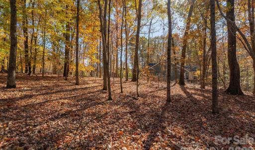 Photo #19 of Nablus, Waxhaw, NC