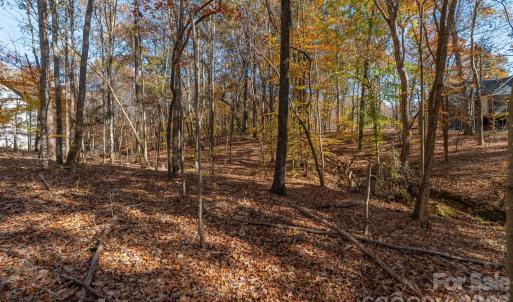 Photo #28 of Nablus, Waxhaw, NC