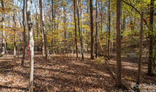 Photo #25 of Nablus, Waxhaw, NC