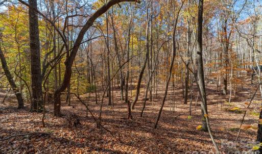 Photo #21 of Nablus, Waxhaw, NC