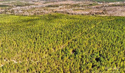 Photo #4 of 931 Charlie Johnson, Kershaw, SC