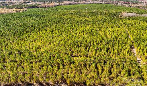 Photo #9 of 931 Charlie Johnson, Kershaw, SC