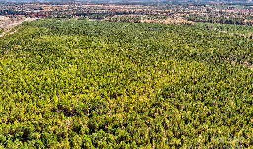 Photo #7 of 931 Charlie Johnson, Kershaw, SC