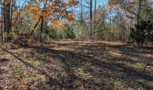 Photo #8 of Yount, Salisbury, NC