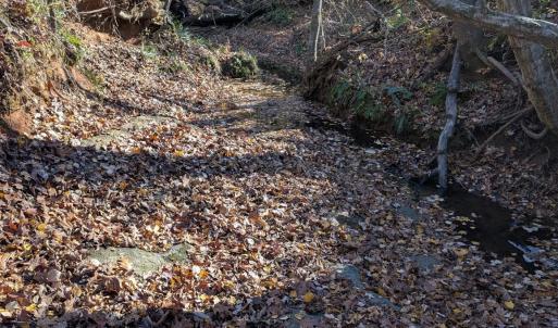 Photo #9 of Yount, Salisbury, NC