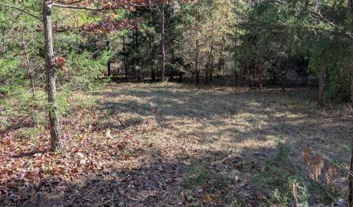 Photo #7 of Yount, Salisbury, NC