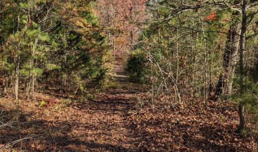 Photo #5 of Yount, Salisbury, NC