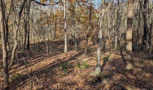 Photo #11 of Yount, Salisbury, NC