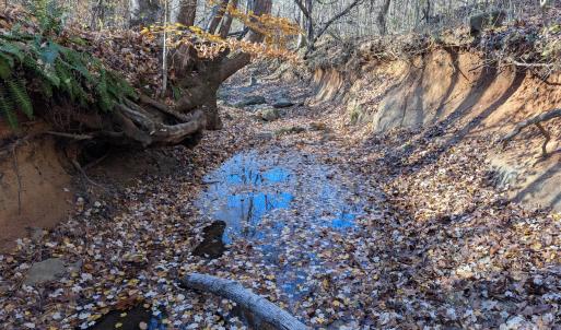 Photo #10 of Yount, Salisbury, NC