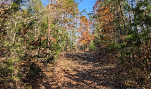 Photo #6 of Yount, Salisbury, NC