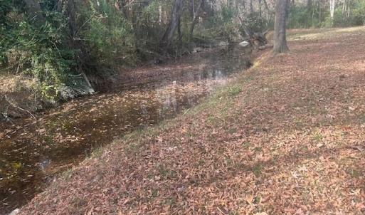 Photo #9 of Jeffrey, Wingate, NC