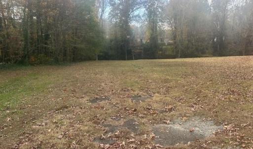 Photo #8 of Jeffrey, Wingate, NC